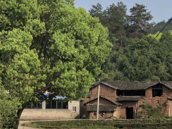 買了有經濟糾紛的房子應該怎么辦才好?深圳房產買賣律師告訴您