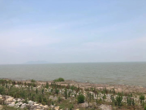 買小產(chǎn)權(quán)房拆遷時有沒有拆遷補償?深圳律師咨詢網(wǎng)最新解讀