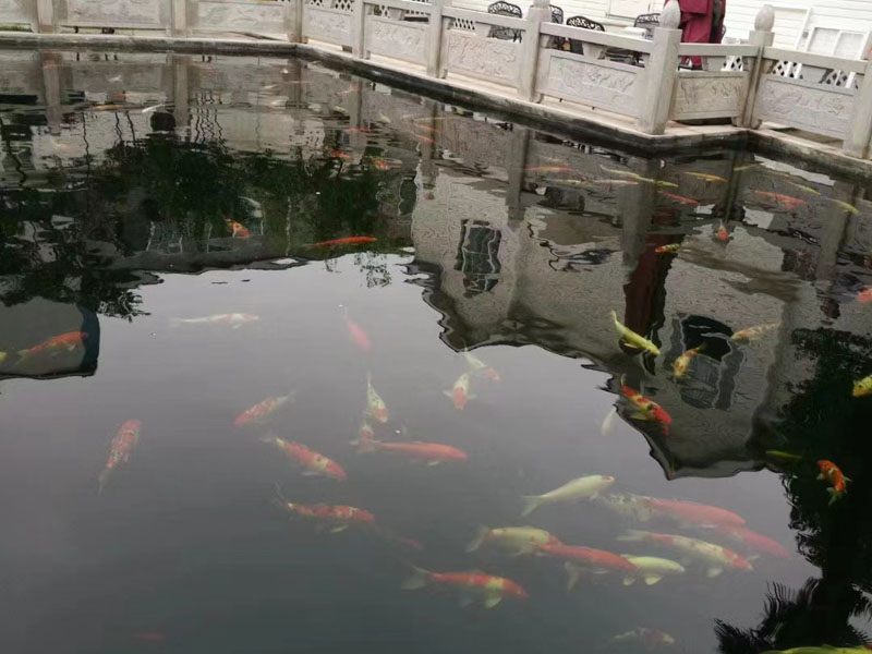 深圳知名婚姻律師告訴您簽了關(guān)于離婚財(cái)產(chǎn)協(xié)議后能反悔嗎?