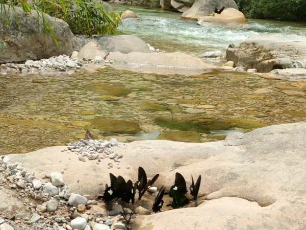 律師遺言見證如何撤銷?深圳遺囑繼承律師釋疑