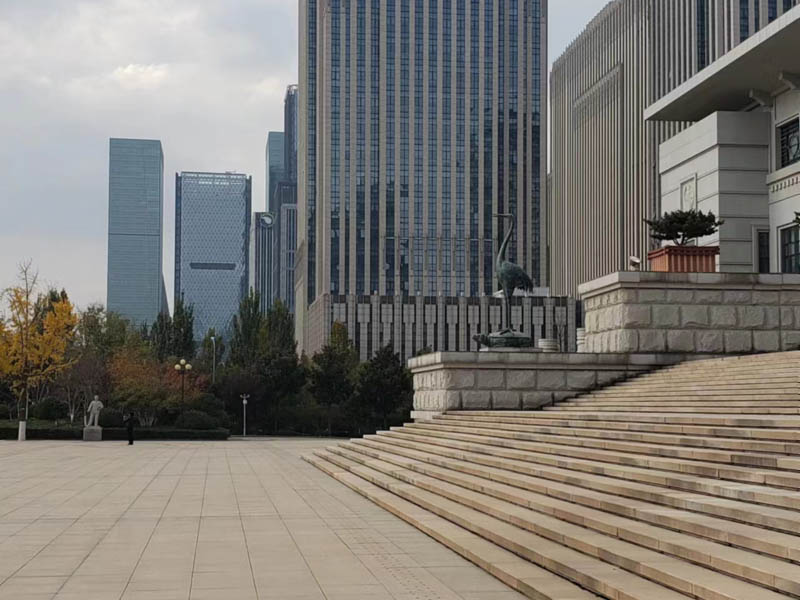 大鵬新區律師講解關于黑社會的這兩大特征，你Get到了嗎？