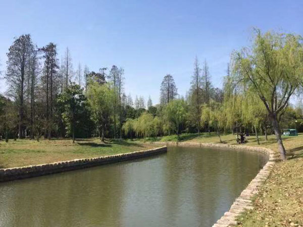 購房人是否以疫情為由請求解除合同?深圳房子律師告訴您