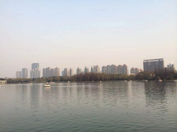 面對非法集資政府需要發揮哪些作用?深圳非法集資律師來講講