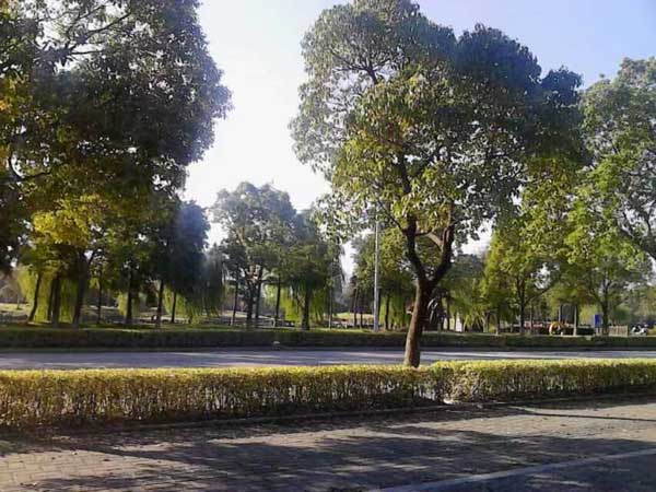 不予答復是否視為認可竣工結算文件的復函?深圳律師事務所告訴您