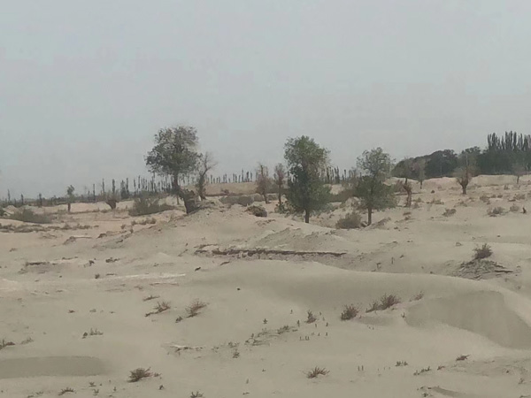 門前的道路被拆遷如何維權(quán)?深圳動(dòng)遷官司律師為您講解