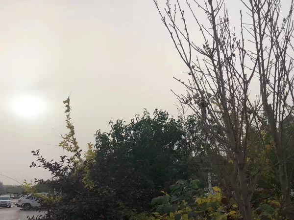 深圳債務(wù)找律師為您講解民間借貸訴訟費計算及相關(guān)法律要求