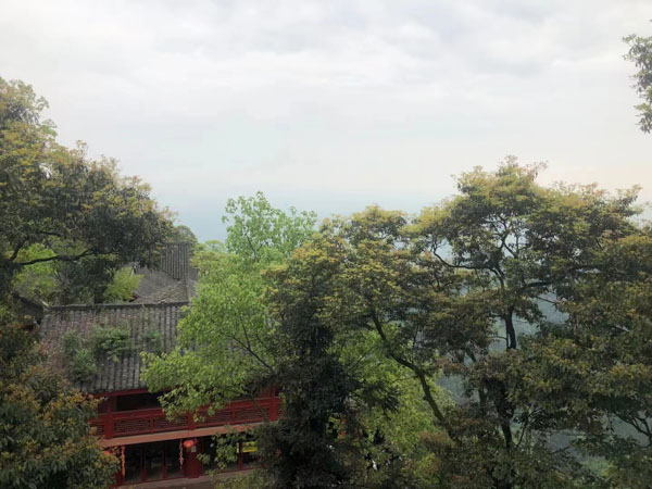 借款合同問題怎么解決?深圳借款合同糾紛律師告訴你