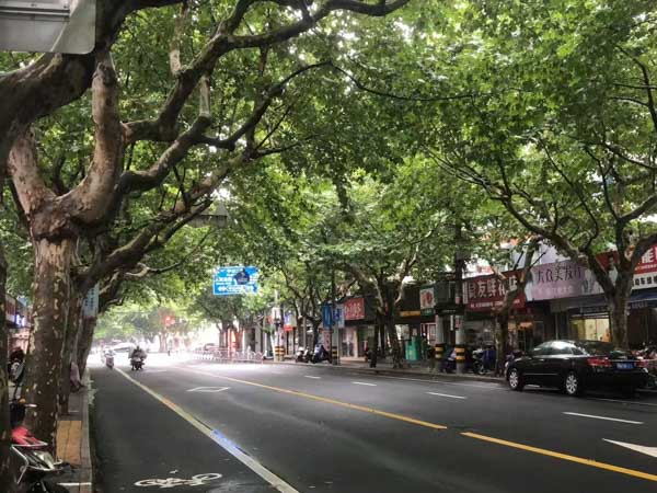 深圳土地糾紛律師來講講農村集體土地出租合同效力的法律分析