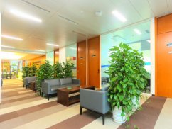 坪山?坑梓律師如何應(yīng)對(duì)員工不辭而別