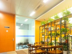 深圳土地糾紛律師來講講農(nóng)村集體土地出租合同效力的法律分析